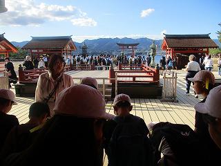 IMG_5683.jpg
