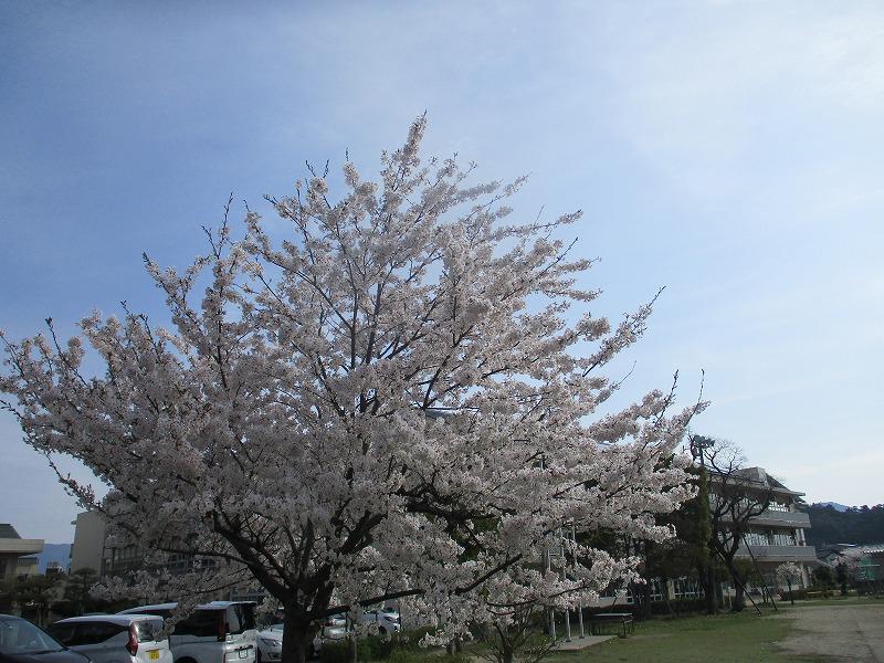 IMG_1577.jpg