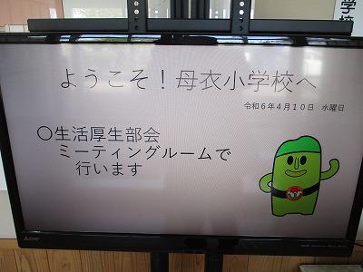IMG_1587.jpg
