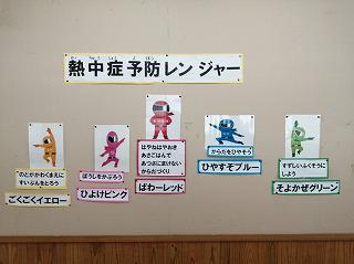 IMG_20250711_103242.jpg
