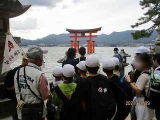 IMG_2392.jpg