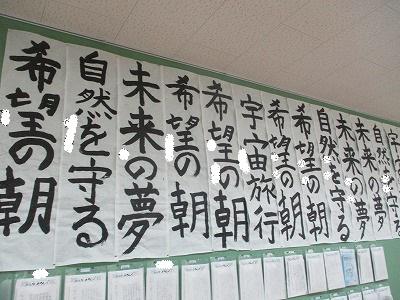 IMG_2973.jpg