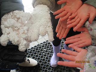 IMG_3161.jpg