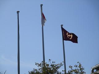 IMG_3414.jpg
