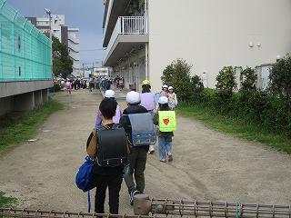 IMG_3461.jpg