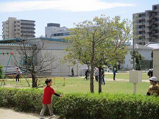 IMG_3481.jpg