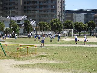 IMG_3556.jpg