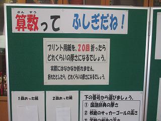 IMG_3572.jpg