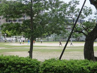 IMG_3649.jpg
