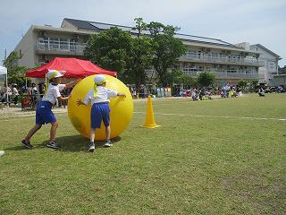 IMG_3700.jpg