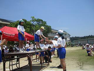 IMG_3713.jpg