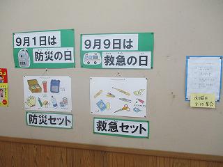 IMG_4117.jpg