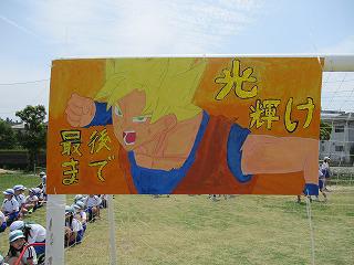 IMG_3702.jpg