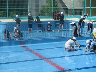 IMG_5208.jpg