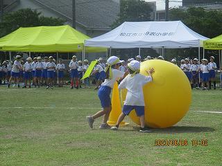 IMG_5272.jpg
