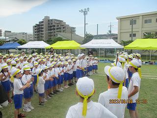 IMG_5290.jpg