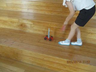 IMG_5321.jpg
