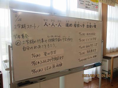 IMG_5527.jpg