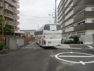 IMG_5599.jpg
