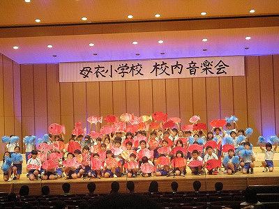 s-3s-IMG_2519.jpg