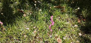 s-IMG_20240705_101537.jpg