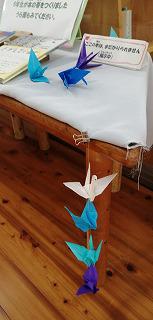 s-IMG_20241023_140423.jpg