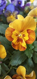 s-IMG_20241024_153217.jpg