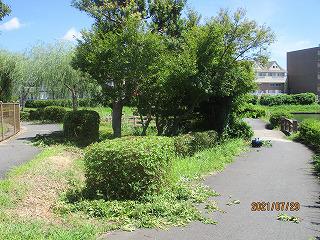 s-IMG_2114.jpg