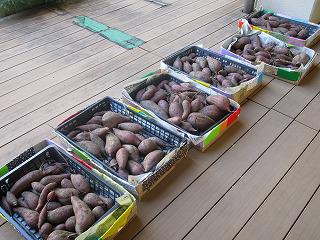 s-IMG_2477.jpg