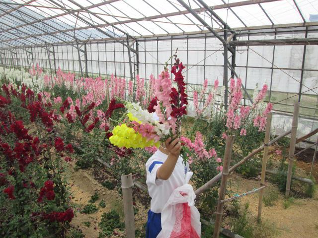 確定IMG_1234.JPG