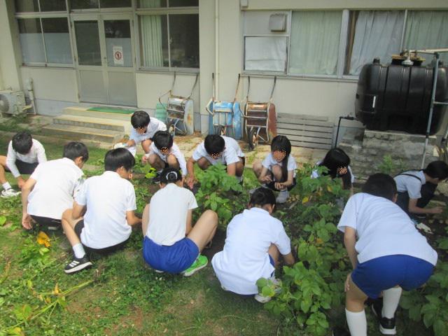 編集IMG_1399.jpg