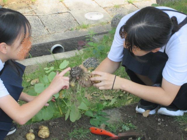編集IMG_1403.jpg