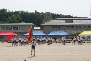 DSC00476(2)-thumb-320xauto-121970.jpg