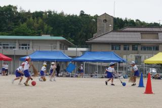 DSC00511(2)-thumb-320xauto-121980.jpg