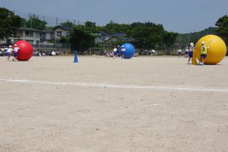 DSC00575(2)-thumb-320xauto-121990.jpg
