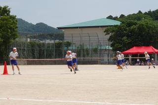 DSC00593(2)-thumb-320xauto-121992.jpg