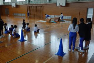 DSC07747-thumb-320xauto-78743.jpg