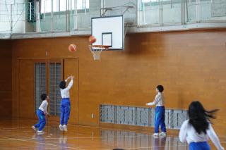 DSC07749-thumb-320xauto-78745.jpg