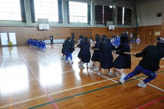 DSC08597-thumb-320xauto-96730.jpg