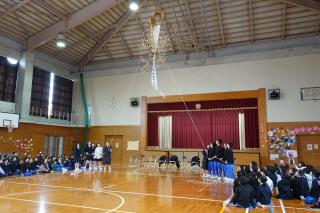 DSC08677-thumb-320xauto-96784.jpg