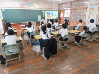 IMG_0097-thumb-320xauto-143930.jpg