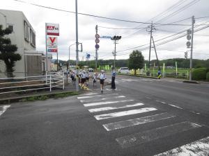 IMG_0121-thumb-300xauto-34724.jpg