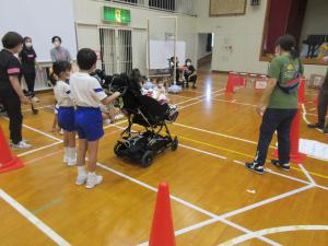 IMG_0442-thumb-300xauto-41861.jpg
