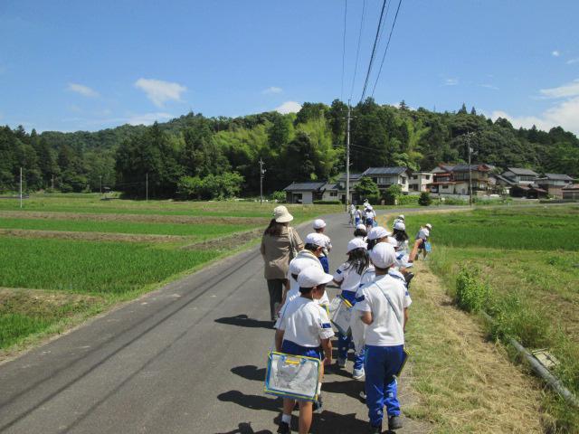 IMG_1353.JPG