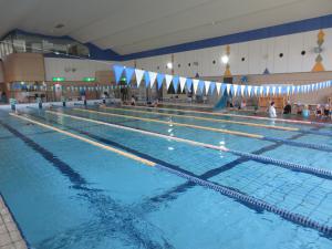 IMG_2107-thumb-300xauto-13381.jpg