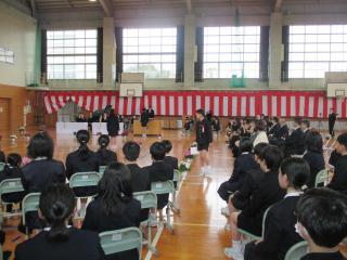 IMG_7941-thumb-320xauto-105337.jpg