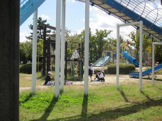 IMG_7947-thumb-320xauto-63160.jpg