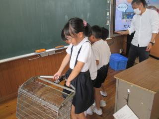 IMG_8558-thumb-320xauto-135073.jpg