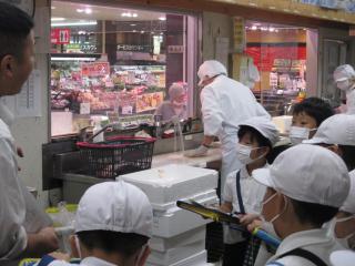 IMG_8610-thumb-320xauto-143433.jpg