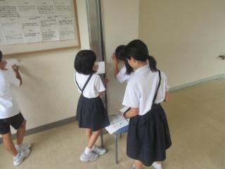 IMG_8687-thumb-320xauto-126253.jpg